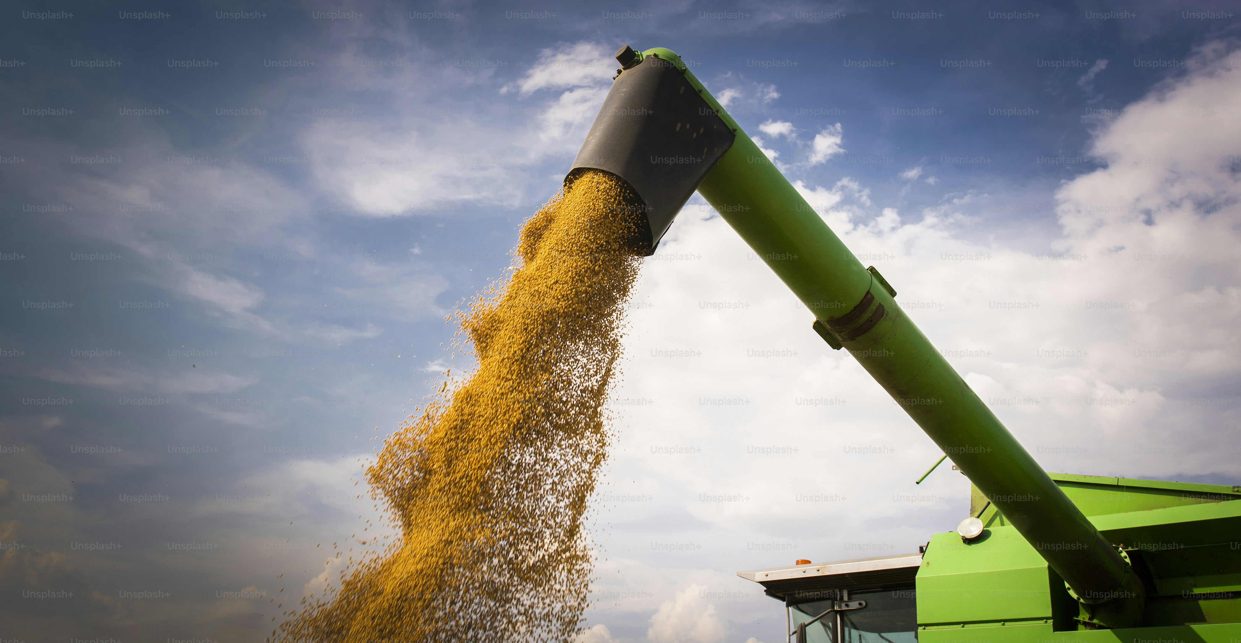 Global grain trade map concept