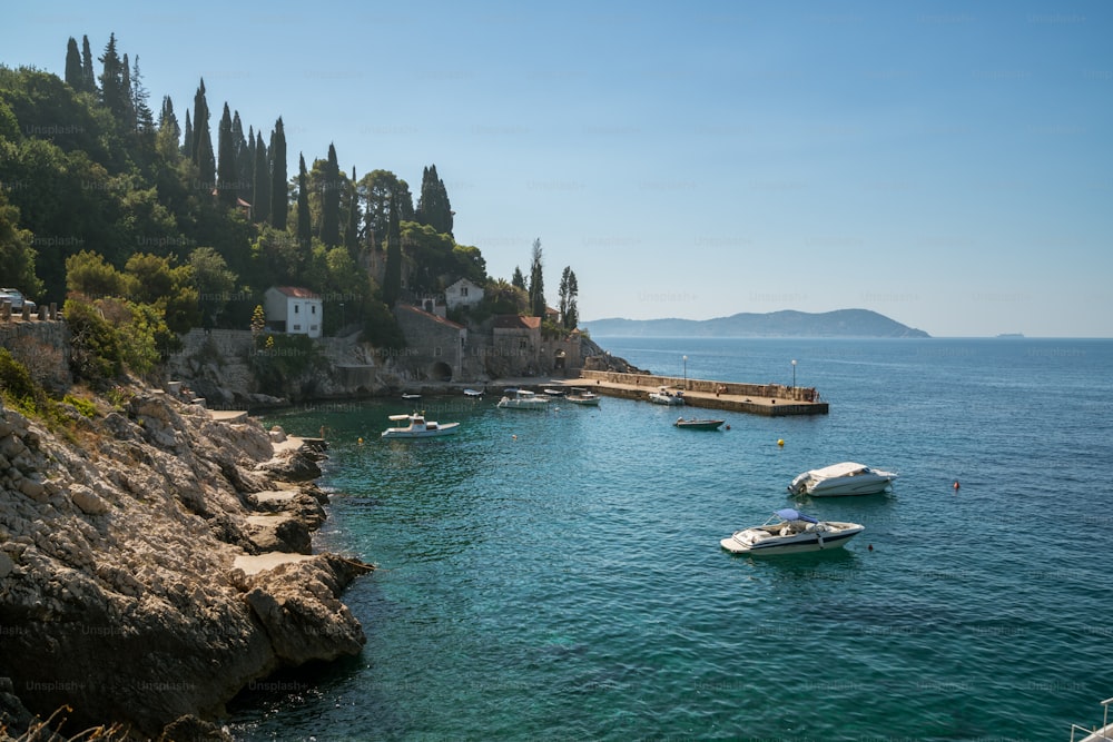Costa do Adriático com porto ensolarado em Trsteno, Dalmácia, Croácia. Atração turística em Dubrovnik.