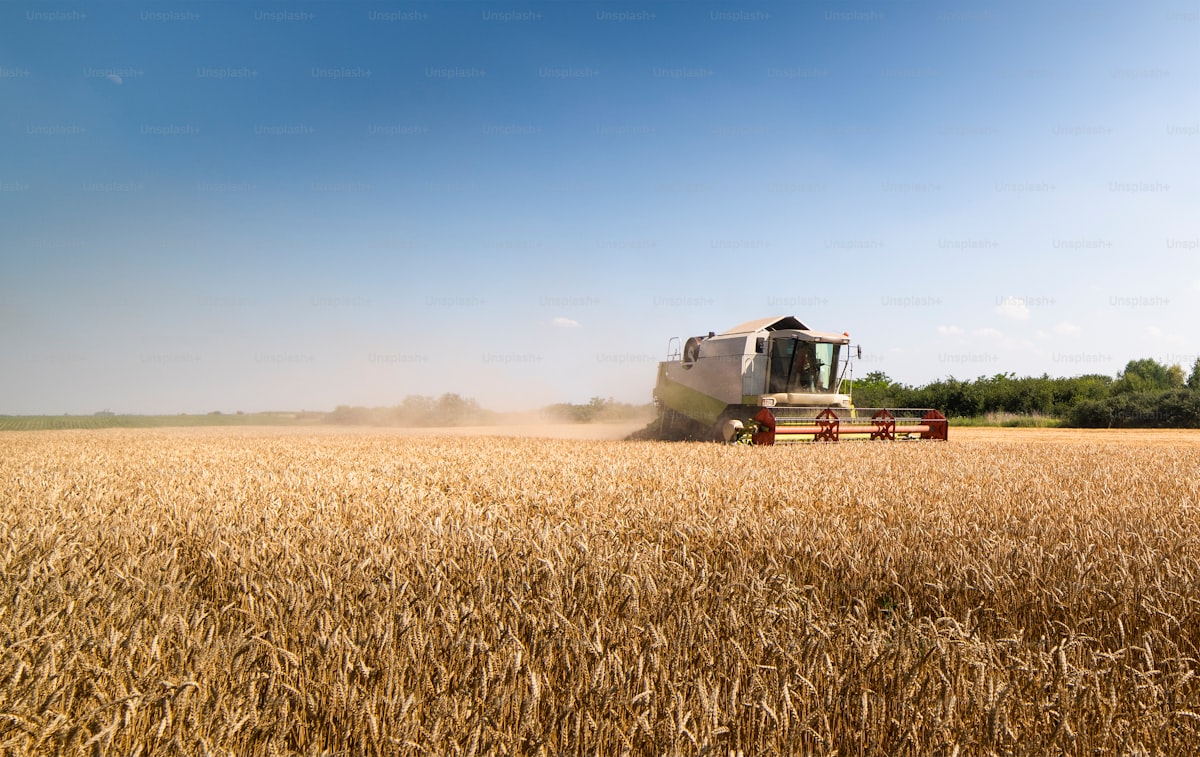 Die Rolle von Getreideanbau in der Entwicklung des Ackerbaus