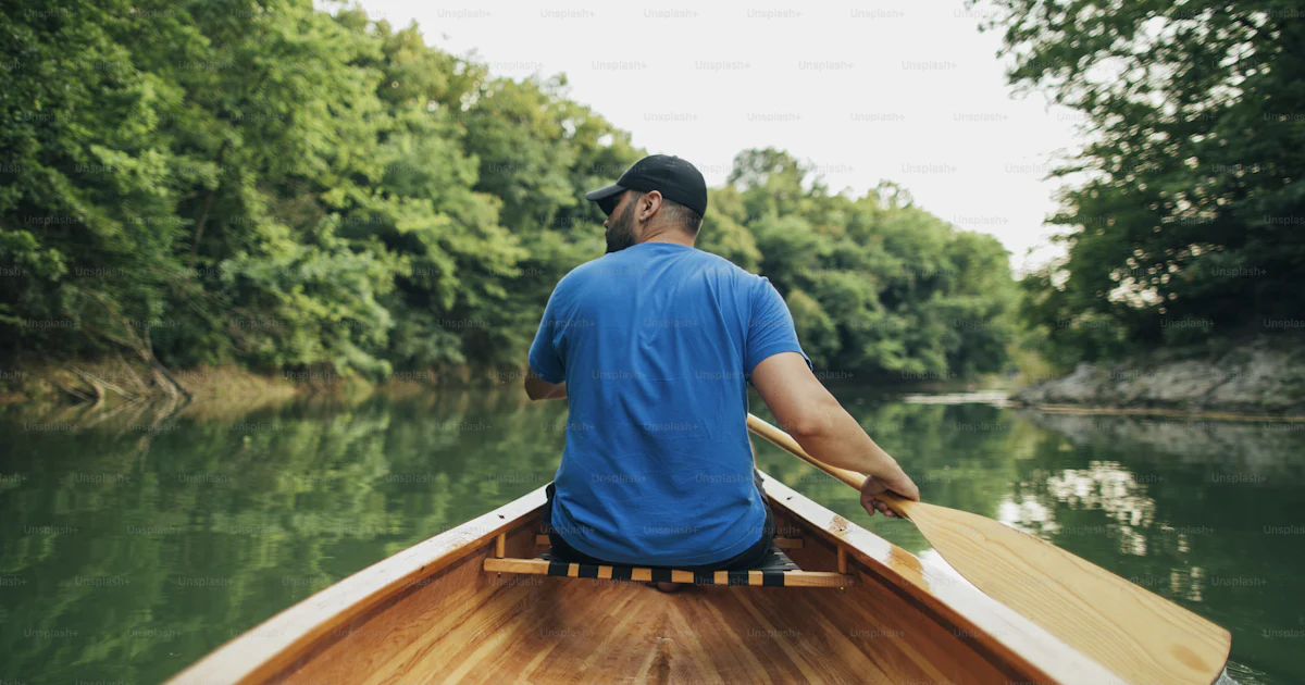 Rear view of man paddling canoe in the lake forest. photo – Serbia ...