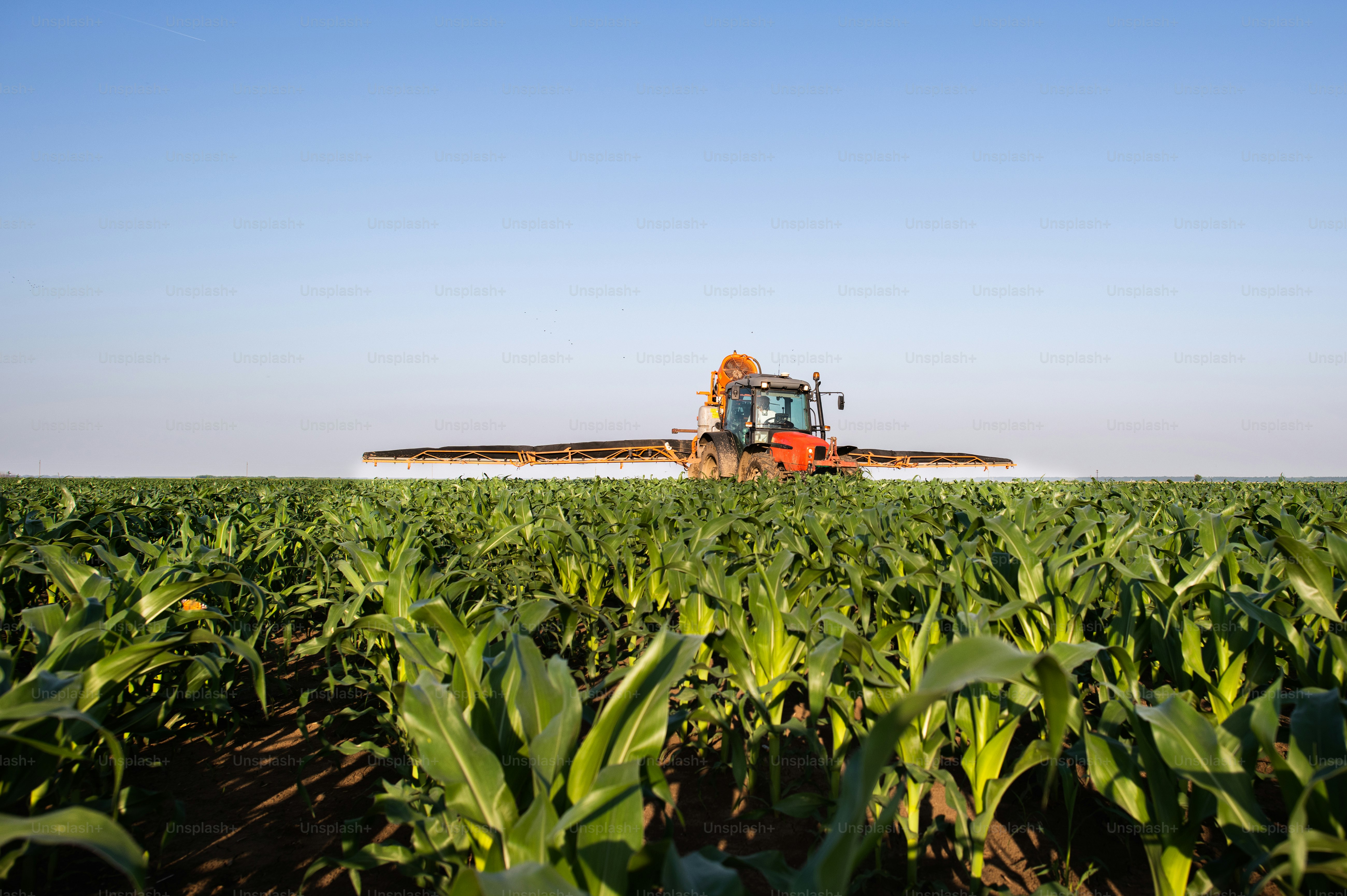 Tractor spraying pesticides on soybean field with sprayer at spring ...