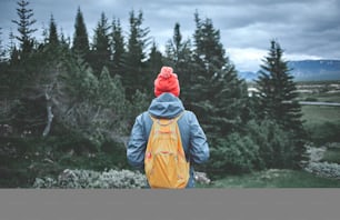 Rückansicht einer jungen Wandererin, die in wunderschönen Bergen wandert. Wanderin in wasserdichter Kleidung, rotem Hut und mit kleinem orangefarbenem Packpack auf dem grünen Kiefernhintergrund
