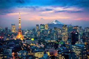 Aerial view of Tokyo cityscape with Fuji mountain in Japan.