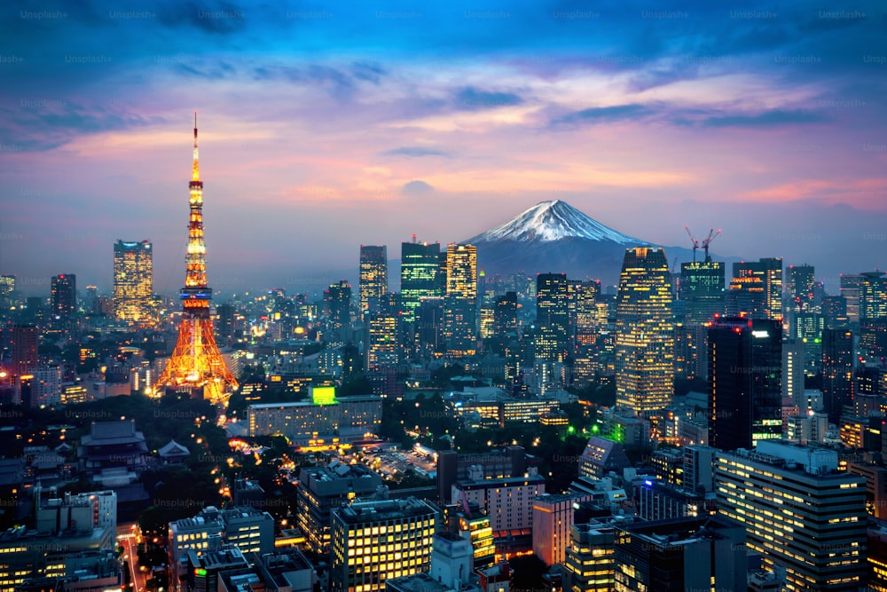 Aerial view of Tokyo cityscape with Fuji mountain in Japan.