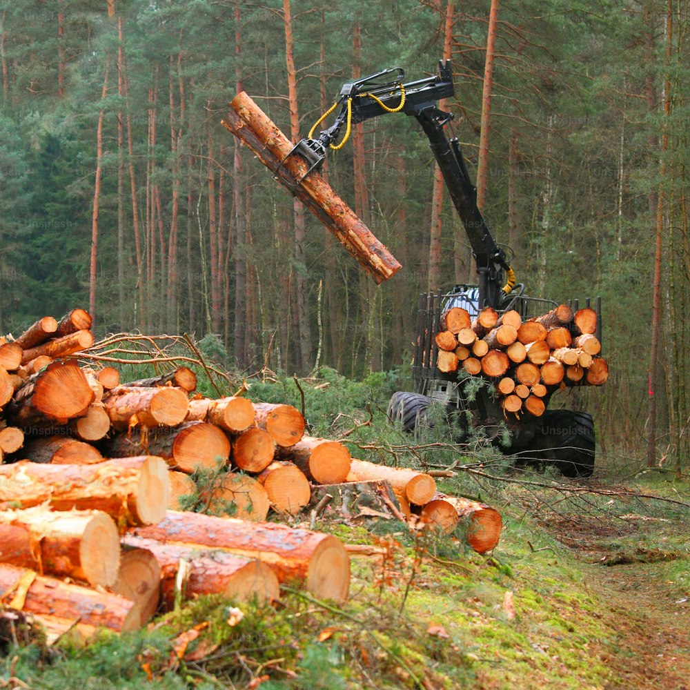 Bûcheron avec moissonneuse-batteuse moderne travaillant dans une forêt. Le bois comme source d’énergie renouvelable. Thème de l’industrie du bois d’œuvre.