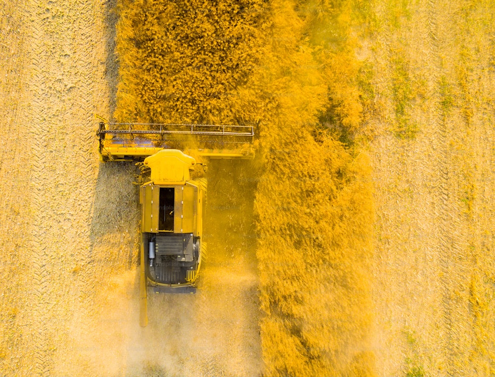 Vista aérea da ceifeira-debulhadora no campo de colza. Tema Agricultura e produção de biocombustíveis.