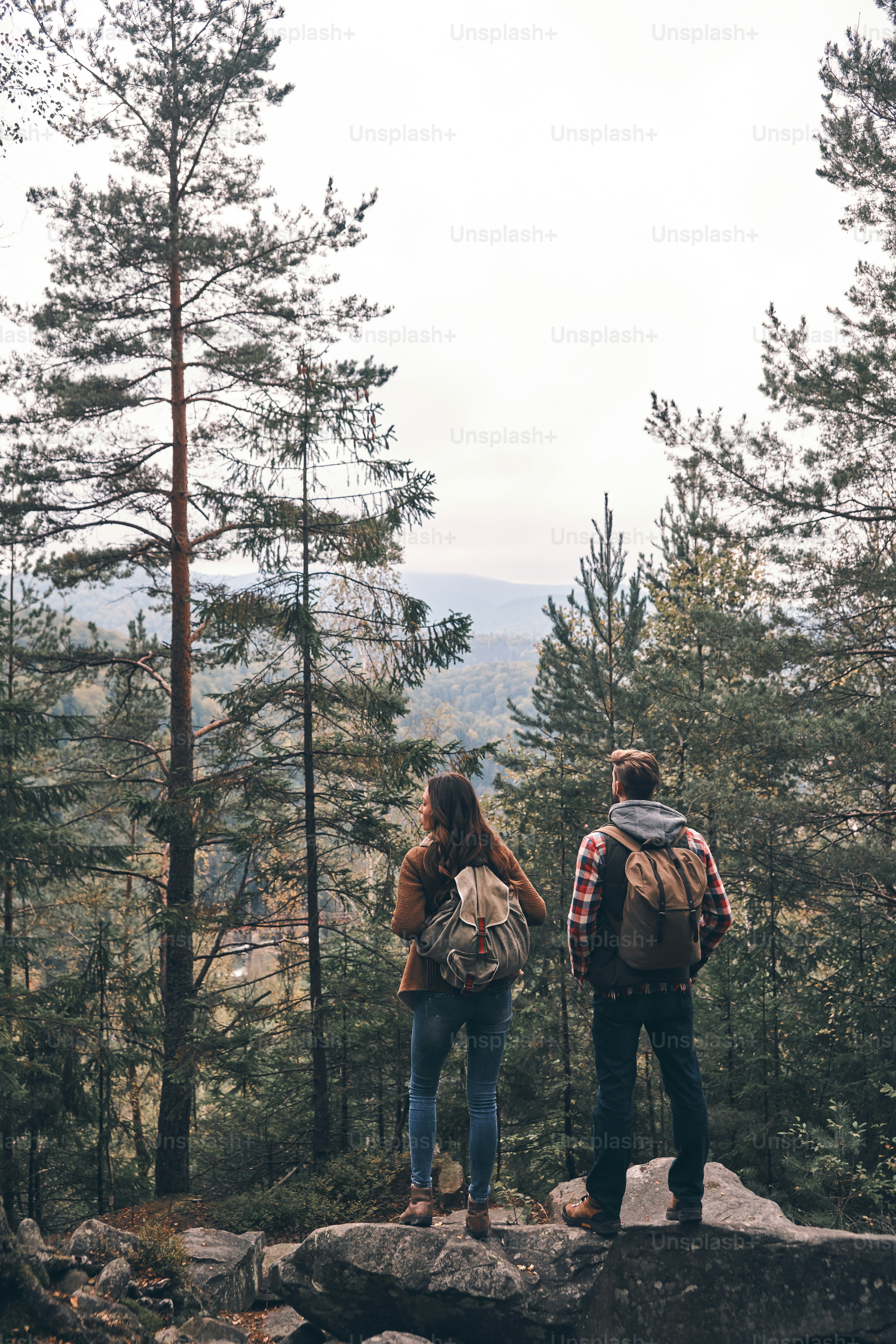 Vue arrière pleine longueur d’un jeune couple admirant la vue lors d’une randonnée ensemble dans les bois