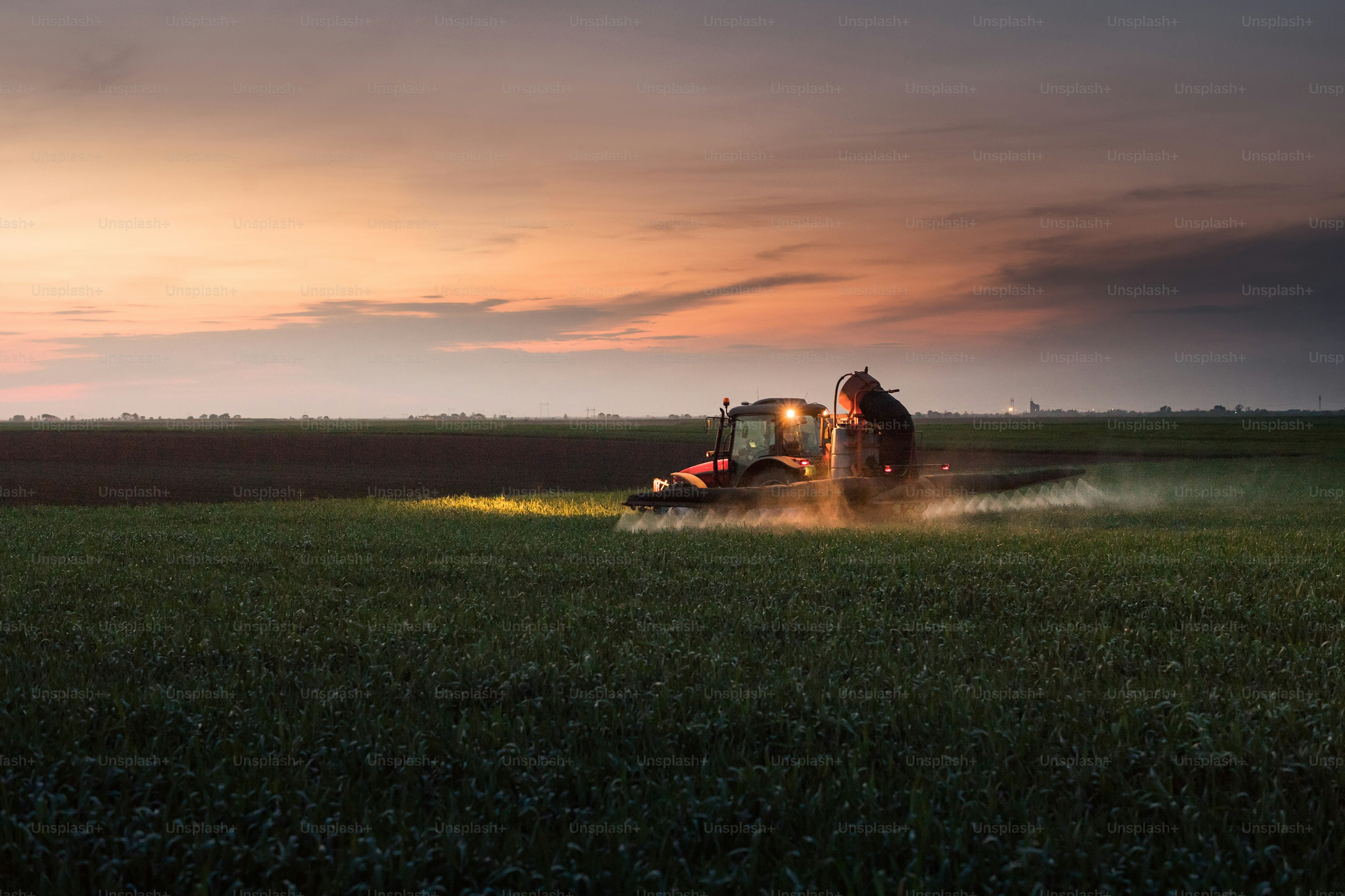 Tractor spraying pesticides on wheat field with sprayer at sunset photo ...