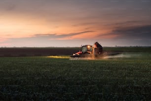 Tracteur pulvérisant des pesticides sur un champ de blé avec un pulvérisateur au coucher du soleil
