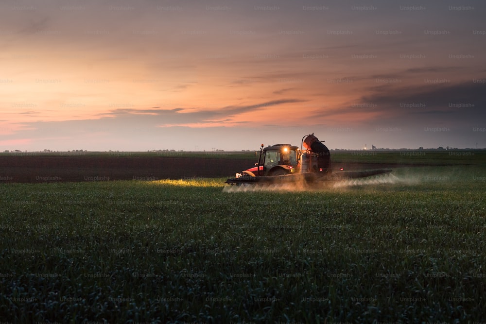 Trattore che spruzza pesticidi sul campo di grano con spruzzatore al tramonto