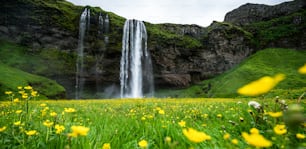 Magical Seljalandsfoss Waterfall in Iceland. It is located near ring road of South Iceland. Majestic and picturesque, it is one of the most photographed breathtaking place of Iceland.