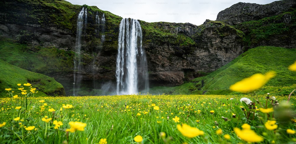 Magical Seljalandsfoss Waterfall in Iceland. It is located near ring road of South Iceland. Majestic and picturesque, it is one of the most photographed breathtaking place of Iceland.