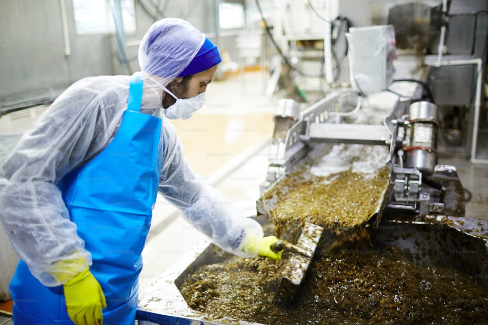 Personal de la fábrica de mariscos parado junto a la línea de producción y mezclando ensalada de algas en un recipiente enorme con una herramienta especial