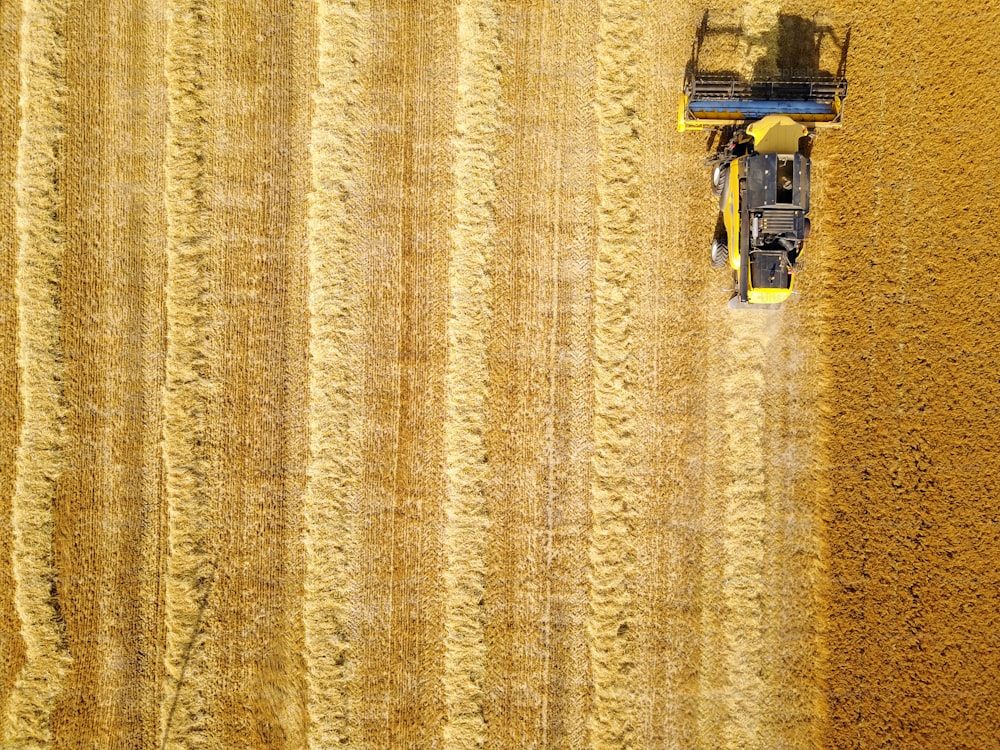Vista aerea della mietitrebbia professionale nel campo di grano.