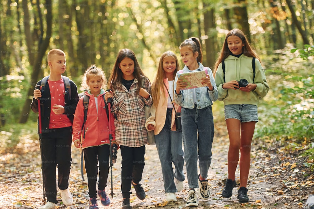 Group of people. Kids in green forest at summer daytime together.