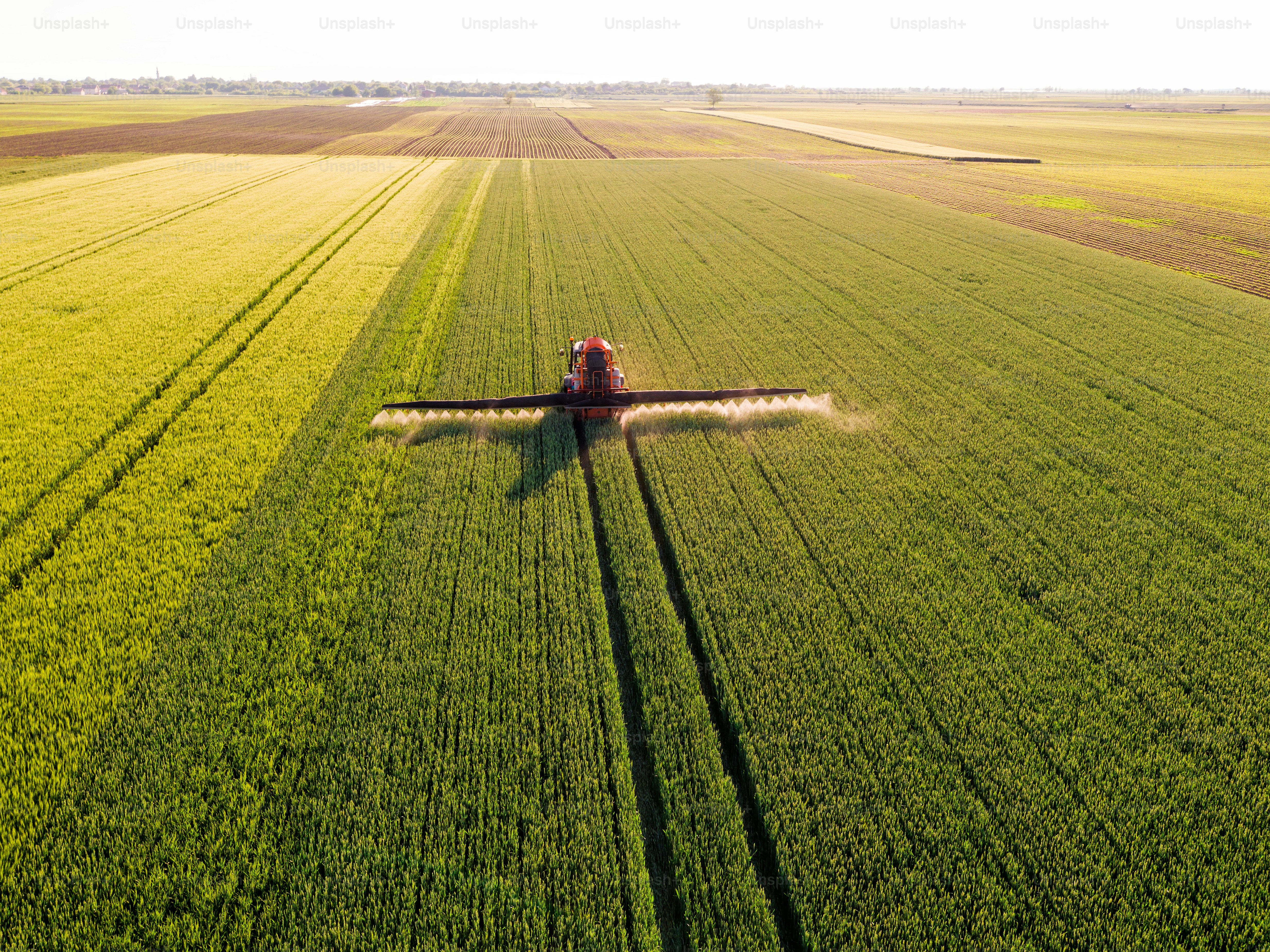 Farmer spraying green wheat field