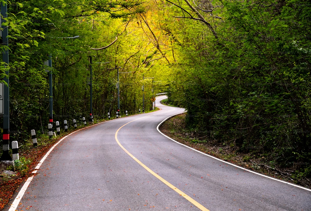 Un long chemin de la route sur la montagne, rayon de soleil, arbres verts et orangers à côté de la route avec la nature de l’air frais.