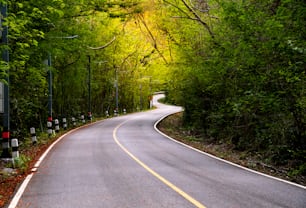 Un largo camino de carretera en la montaña, rayo de sol, árboles verdes y naranjos al lado del camino con naturaleza de aire fresco.