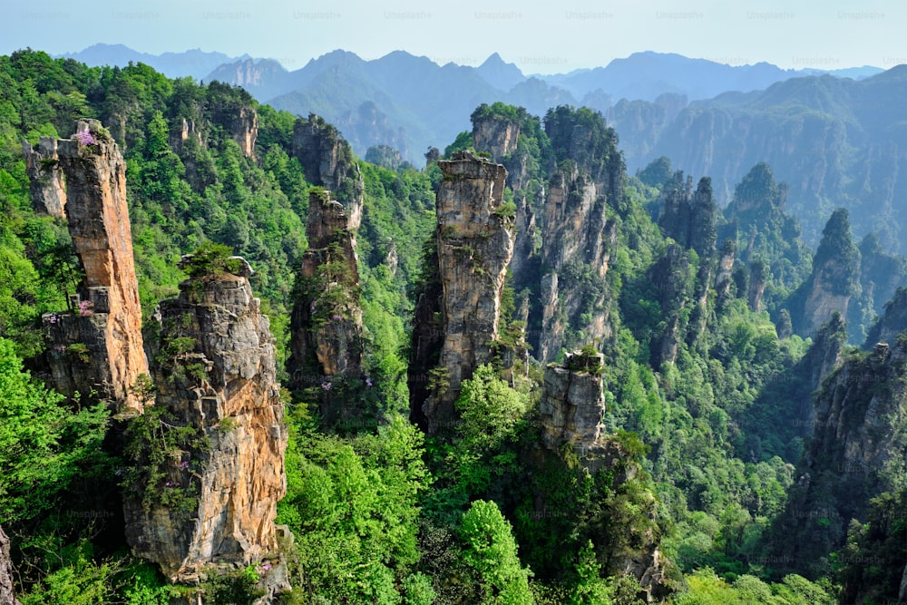 중국의 유명한 관광 명소 - Zhangjiajie 돌기둥은 중국 후난성 우링위안의 일몰에 절벽 산을 가지고 있습니다.