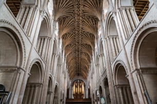 Innenansicht des Gewölbes und des Kirchenschiffs der Kathedrale von Norwich, einem Tempel, der der Heiligen und Ungeteilten Dreifaltigkeit gewidmet ist und 1145 fertiggestellt wurde.