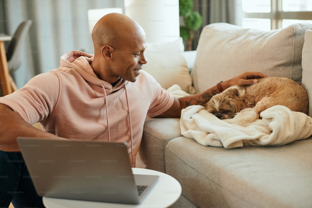 Young African American man working on laptop while cuddling his dog who is resting on sofa at home.