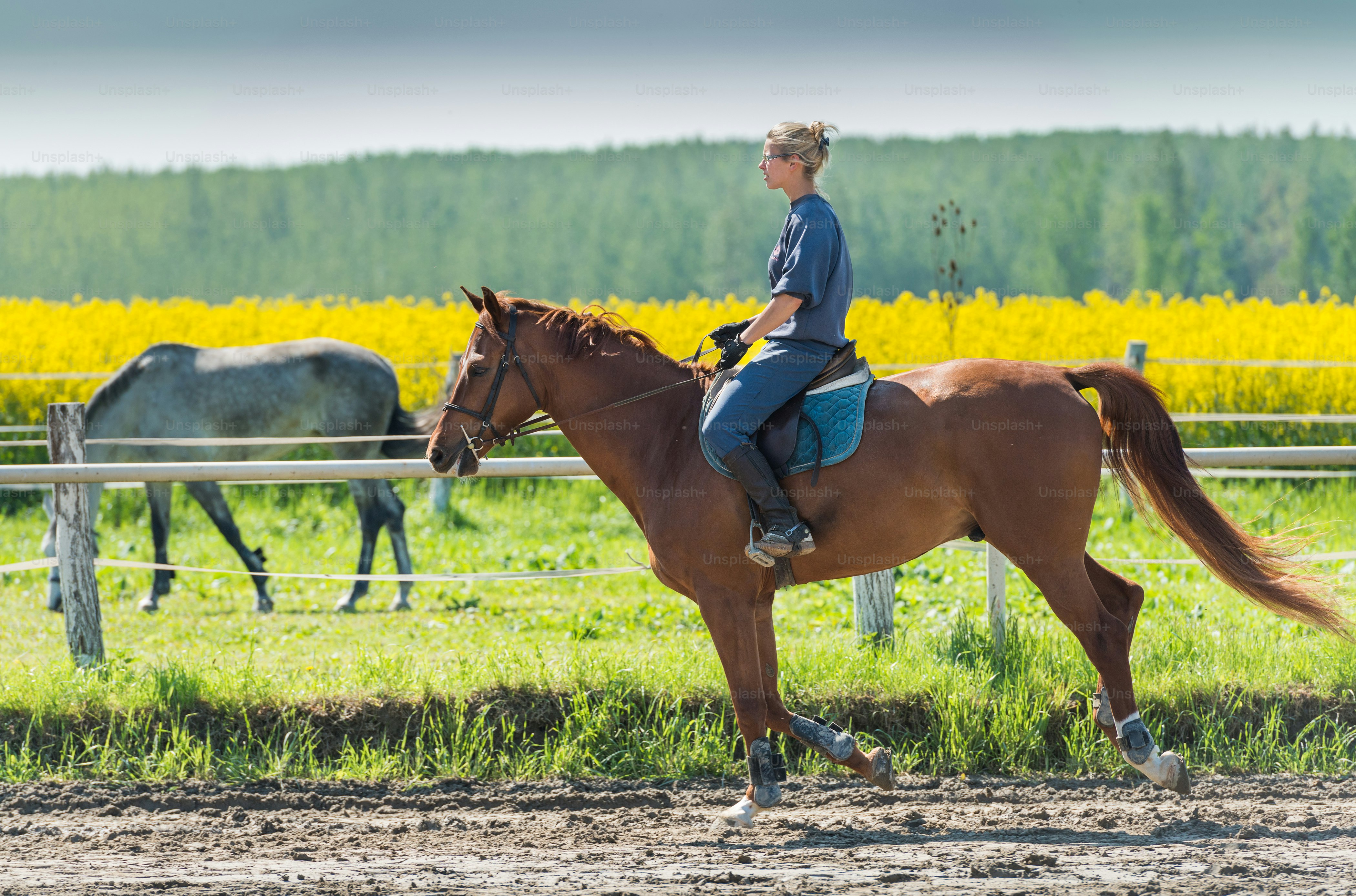 Young woman riding a horse photo – Springtime Image on Unsplash