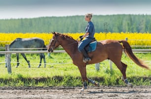 Mujer joven montando a caballo