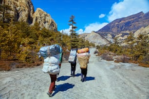 porteurs dans les montagnes du Hamalaya. Trek autour du mont Annapurna