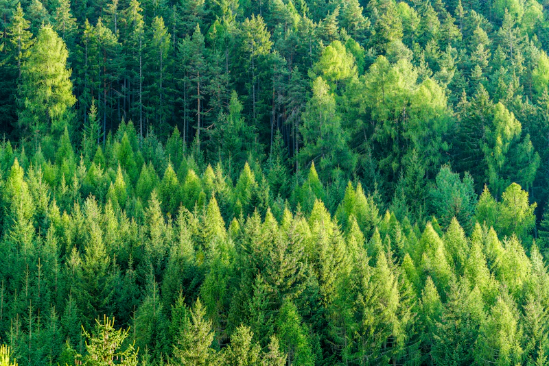 Sustainability — replacing paper with digital