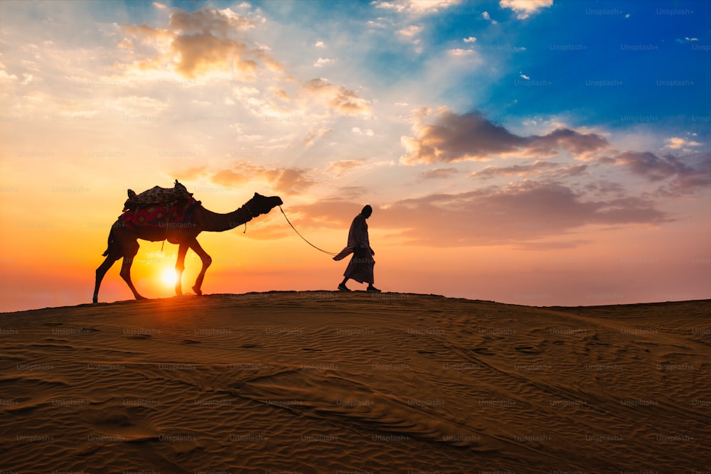 Cammelliere indiano (cammelliere) beduino con sagome di cammello nelle dune di sabbia del deserto di Thar al tramonto. Caravan in Rajasthan viaggio turismo sfondo safari avventura. Jaisalmer, Rajasthan, India