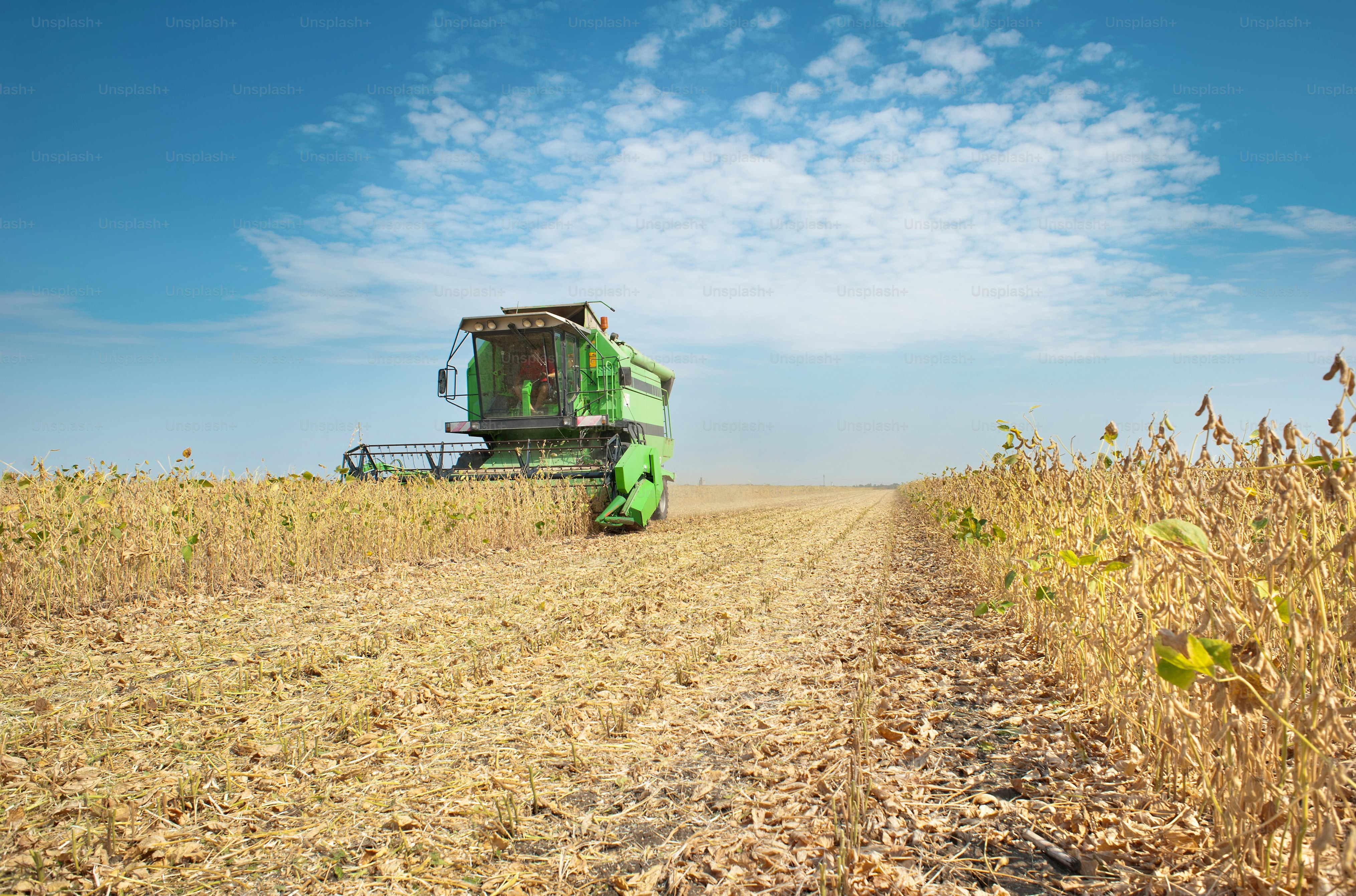 Un agricultor combina un campo de soja