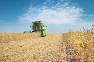A farmer combines a field of soybeans