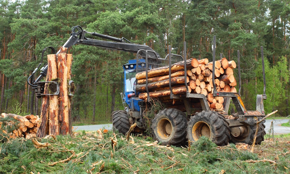 The harvester working in a forest. Renewable resources theme.