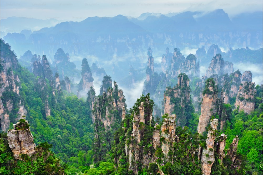 중국의 유명한 관광 명소 - Zhangjiajie 돌기둥은 중국 후난성 우링위안의 안개 구름 속에 절벽 산을 가지고 있습니다.