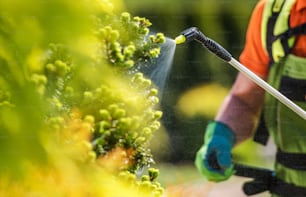 Gardener with Professional Insecticide Fertilizer Equipment. Worker Spraying Trees Close Up Photo.