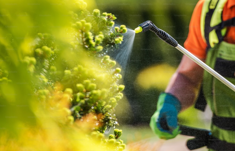 Giardiniere con attrezzatura professionale per fertilizzanti insetticidi. Lavoratore che spruzza alberi foto ravvicinata.