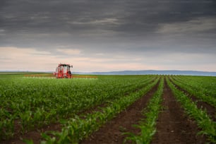 Tractor rociando pesticidas en el campo de maíz con rociador en primavera