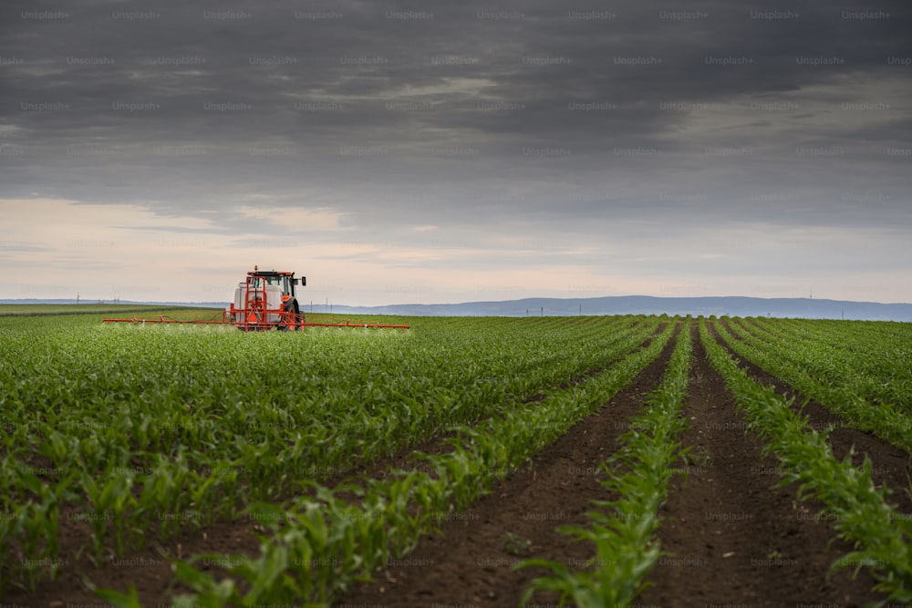 Tractor rociando pesticidas en el campo de maíz con rociador en primavera