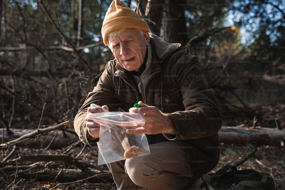 Uomo anziano che canta sacchetto di plastica trasparente mentre raccoglie funghi sulla superficie del terreno con la mano. Concetto di raccolta dei funghi