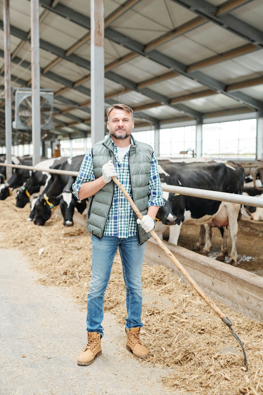 Young successful farmer with hayfork working by cowshed inside large dairy farm while looking at camera