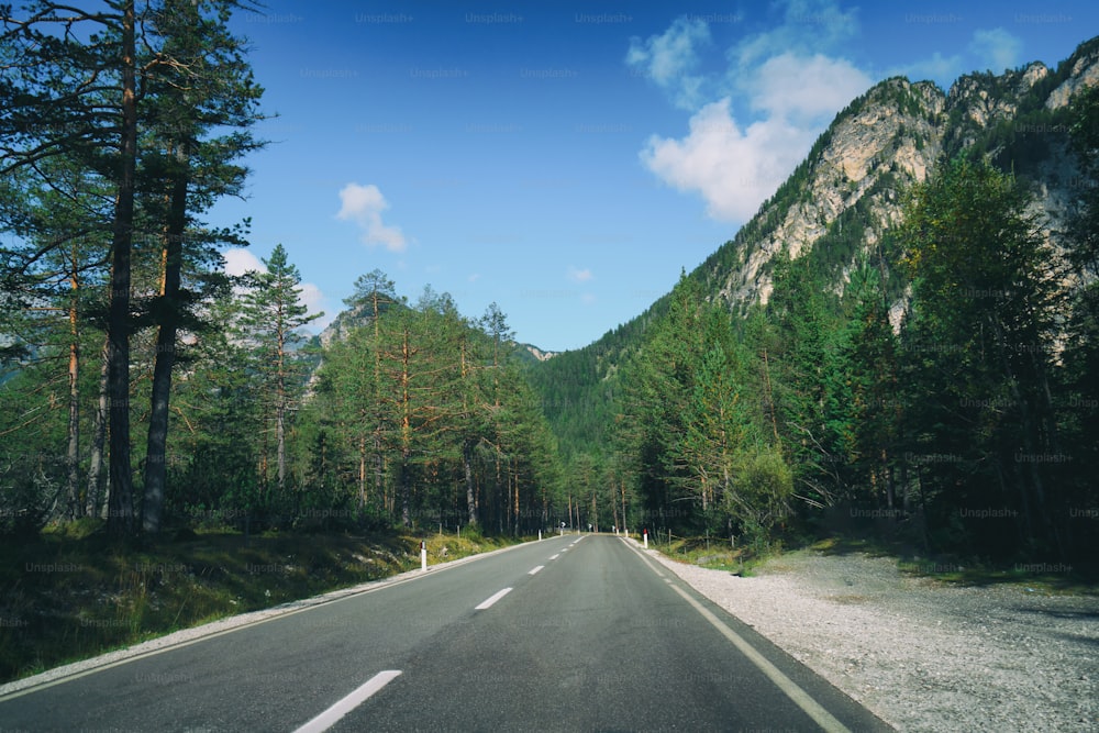 Hermosa carretera de montaña con árboles, bosque y montañas al fondo. Tomada en la carretera estatal de la montaña de los Dolomitas en Italia.