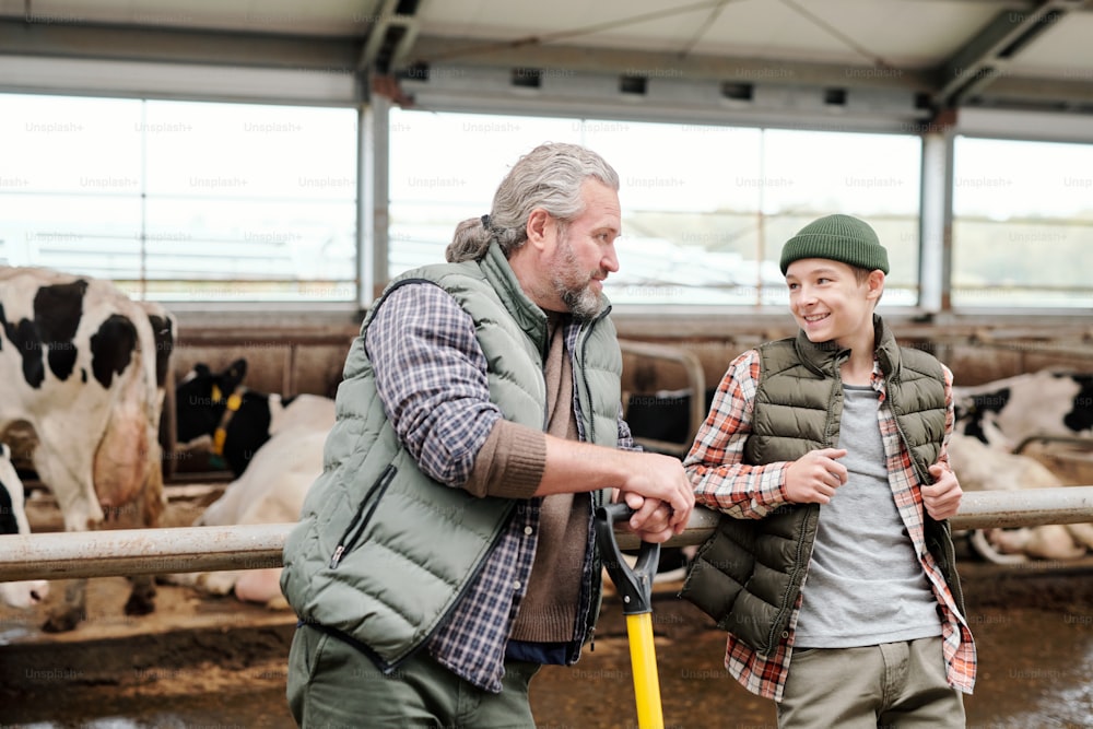 Positive mature father and his son leaning on railing of stall and discussing livestock while having break at farm