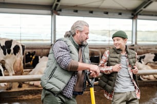 Positive mature father and his son leaning on railing of stall and discussing livestock while having break at farm