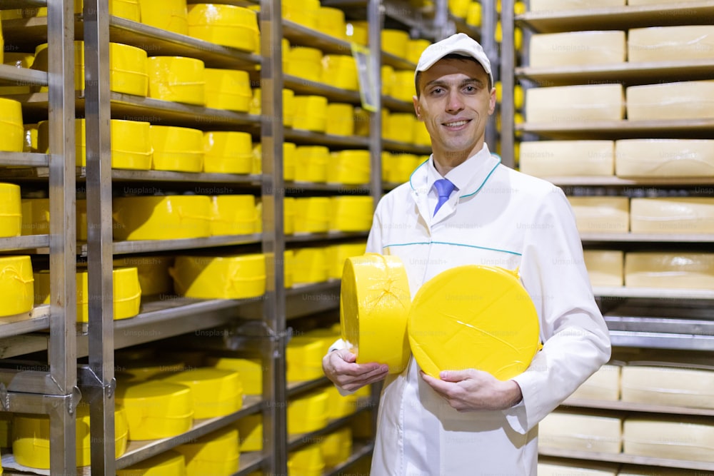 Un tecnólogo con una túnica blanca con una cabeza de queso amarillo en las manos está en la tienda para la producción de mantequilla y queso. El proceso de producción en la planta de productos lácteos. Costillas con queso