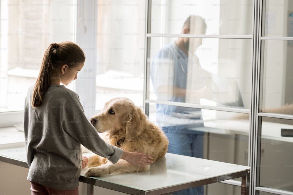 Trauriger Hund auf dem Krankentisch und kleines Mädchen in Freizeitkleidung schauen sich vor der Operation in der Tierklinik an