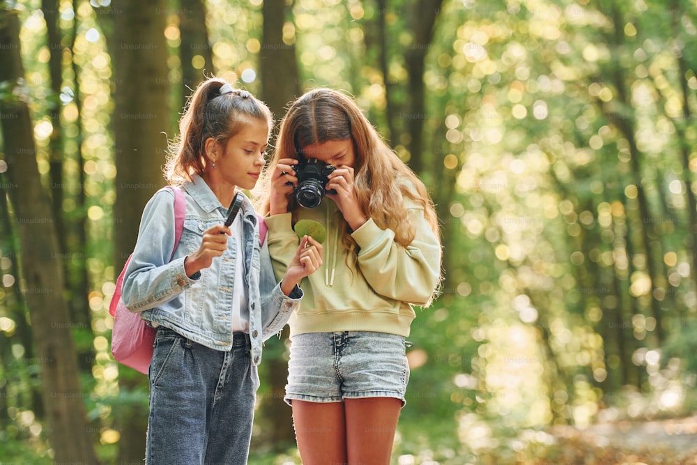 Dois amigos. Crianças na floresta verde durante o dia de verão juntos.