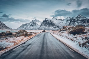 ノルウェーのフィヨルドの道路。ロフォーテン諸島、ノルウェー