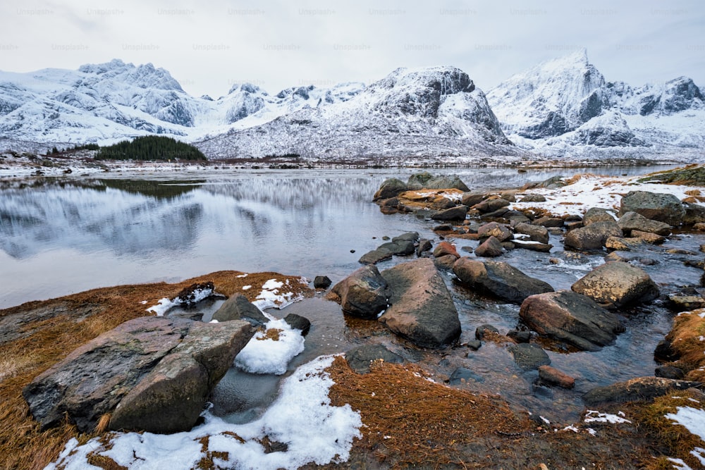 Fiordo noruego en invierno. Islas Lofoten, Noruega