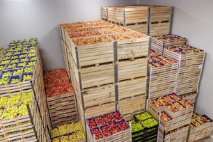 Äpfel und Birnen in versandfertigen Kisten. Kühlhaus Innenraum.