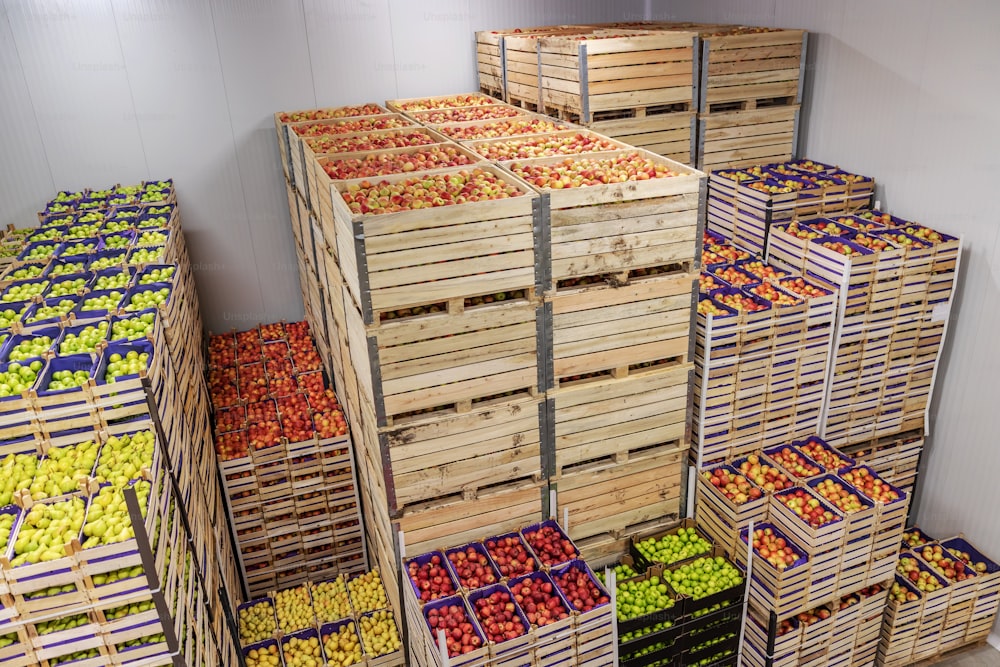 Pommes et poires dans des caisses prêtes à être expédiées. Intérieur de l’entrepôt frigorifique.